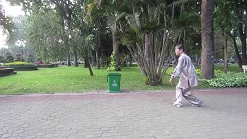 Thái Cực Chưởng 132 thức Triệu Gia do Võ sư Thiều Ngọc Sơn Diễn Luyện