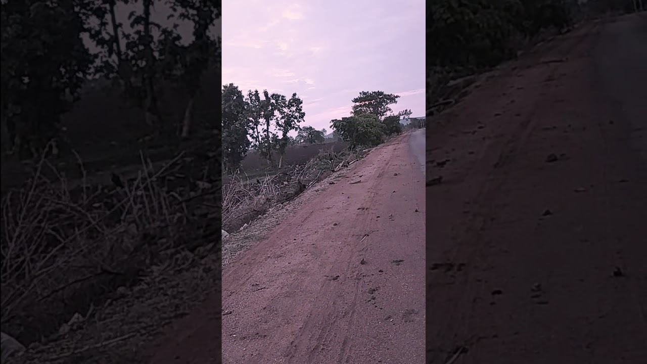 camera iphone 8 plus apk NATURE OF ANIMALS TO CLEAN NATURE