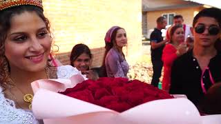 видео: Цыганская свадьба Алина и Самир 30 августа 2022 г. Йошкар-Ола картинка: Цыганская свадьба Алина и Самир 30 августа 2022 г. Йошкар-Ола