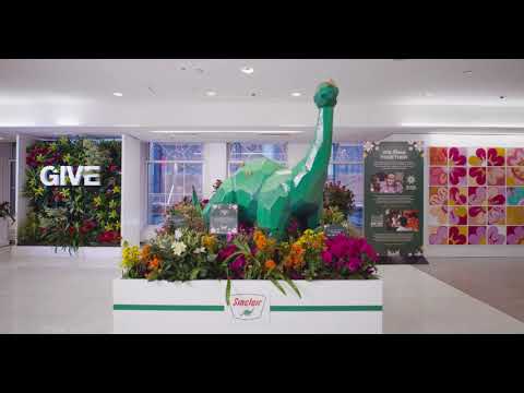Virtual tour of the Macy’s Flower Show!