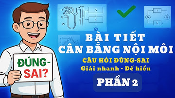 BÀI TIẾT & CÂN BẰNG NỘI MÔI – ĐÚNG SAI PHẦN 2  Glucose, Insulin, Cơ Chế Nội Môi #sinhhoc11
