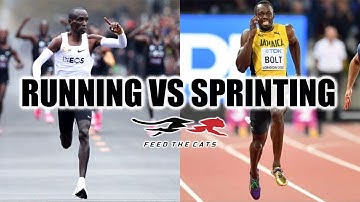 The Four Essentials of FTC Speed Training | The Pillars of Feed the Cats