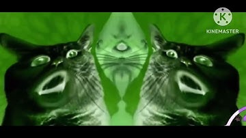 Preview 2 Numa Cat V3 2022 In Blind