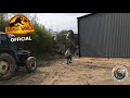 Official trex sighting new scene jurassic world dominion dinotracker