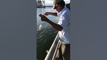 #Shorts Quá dễ câu cá bằng chai nhựa với bột mì #fishing
