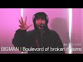 BIGMAN l Codfish - Boulevard of broken dreams (Beatbox Cover)