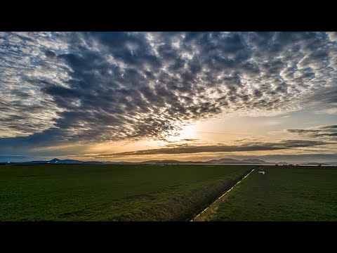 Portland Realty Images Reel (mid 2021 refresh)