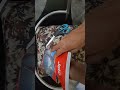 Unboxing my daron plane models #shorts #subscribe