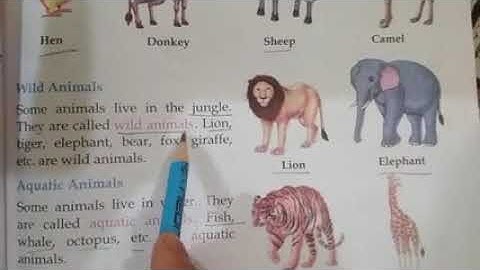 CLASS II EVS CHAPTER   3 THE WORLD OF ANIMALS PART 1  BY SIMRANJEET KAUR MAM