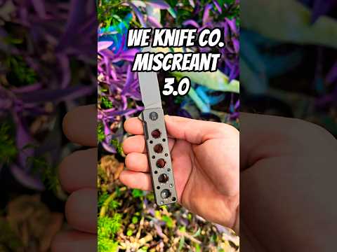 The WE Knife Co. Miscreant 3.0 In 20cv (courtesy of @theponz13)   