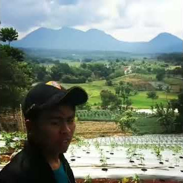 STATUS WA LUCU BAHASA SUNDA