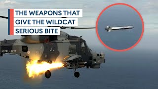 Wildcat and Martlet: The deadly combination forming a ring of steel around warships by Forces News 46,943 views 6 days ago 4 minutes