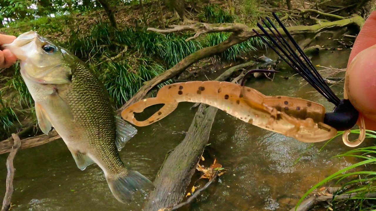 This Lure Might CHANGE BASS Fishing Forever!?