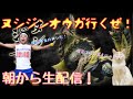 #8【モンスターハンターライズ】朝狩り行こうぜ!ヌシジンオウガ!リベンジSP!マルチもやるぜ!