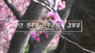 민주공원 영상