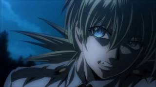 It's too Late - Hellsing - AMV