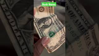 Bush Money