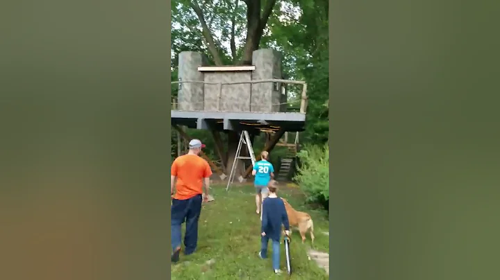 Treehouse, with electric, heat and air.  #treehous...