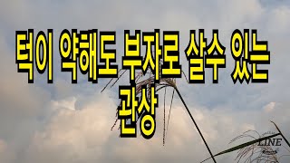 턱이 약해도 부자로 살 수 있는 관상