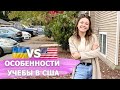 Учеба в США: тяжело ли учиться в колледже? Что нужно знать международным студентам F1