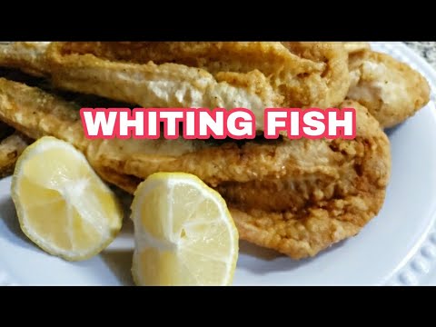 HOW TO COOK WHITING FISH FRIED WHITING YouTube Hqdefault