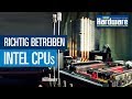 Intel-CPUs innerhalb der Spezifikation betreiben / PCGH-Basiswissen