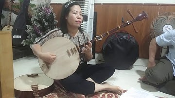 Cảm xúc quê hương - đàn nguyệt nghệ sĩ Tuyết Tuyết