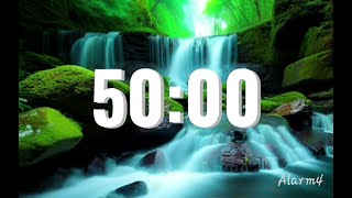 50 Minutes Alarm Timer | Alarm4 3000 seconds with natural ambient sound #timer  #time