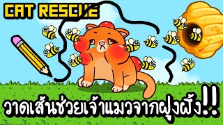 Cat Rescue - วาดเส้นช่วยเจ้าแมวจากฝูงผึ้ง!! [ เกมส์มือถือ ]