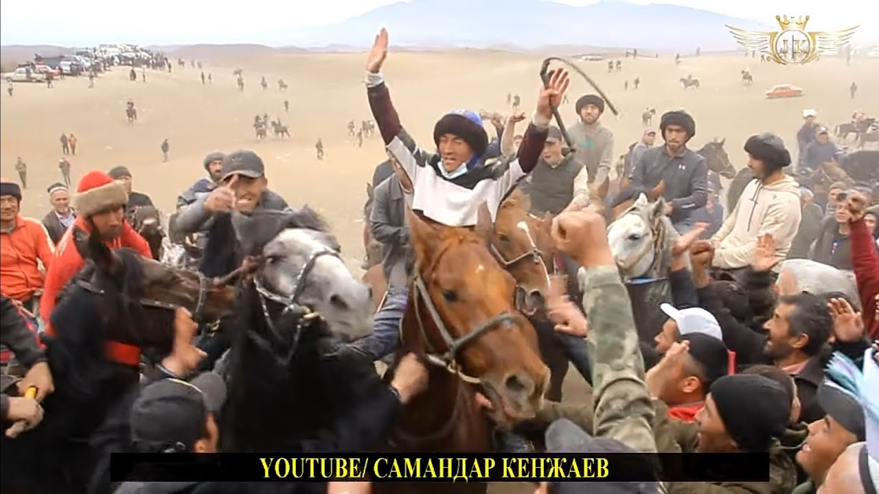 Улоки Бузкаши Теракли 11.11.2023/Самандар Кенжаев Купкари Хужанд