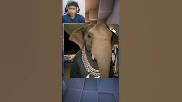 Thumbnail of Guess the Anomaly Song Super Fast Part 2