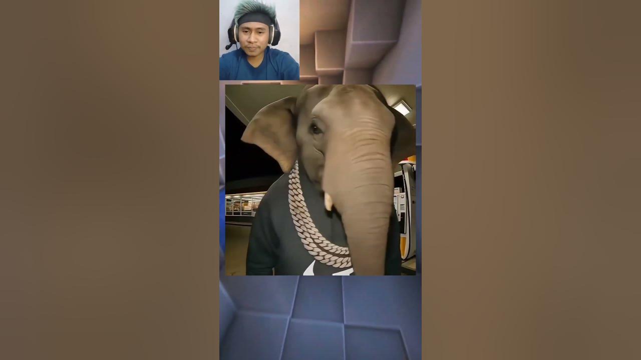 Tebak Lagu Anomali Super Cepat Part 2