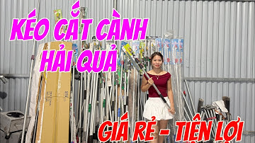 Kéo cắt cành trên cao dùng tiện lợi , giá rẻ , dễ sử dụng . Có từ 3-4-5m
