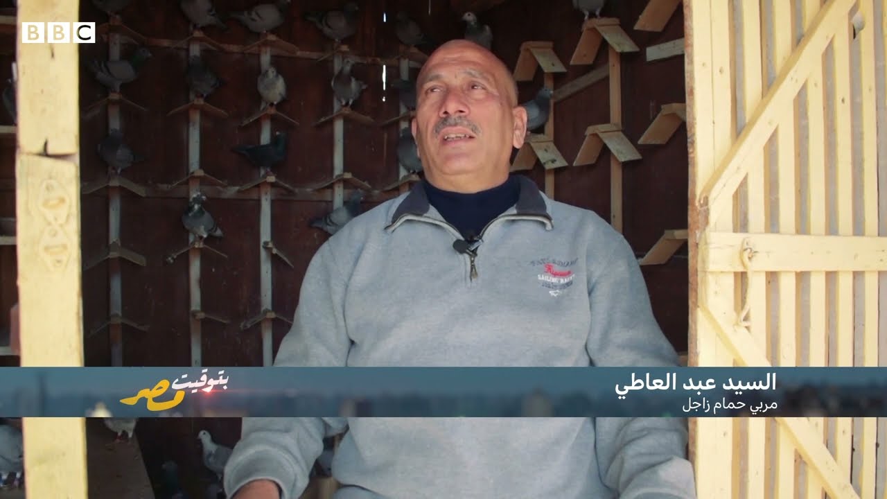 بتوقيت مصر : غواية سباقات الحمام الزاجل لقبته بـ أبو الأبطال