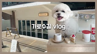 [VLOG] 가로수길 '레스토랑 & 카페' 반려견과 함께가요! (feat. 자매의 부엌 어스 & 카페 바잇미)ㅣJuvement 주브먼트