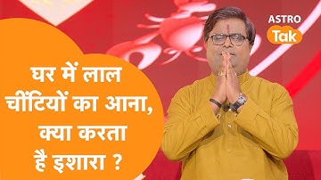 घर में लाल चींटियों का आना, क्या करता है इशारा ? | Shailendra Pandey| Astro Tak