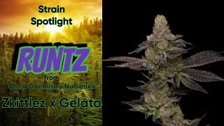RUNTZ - Strain Spotlight