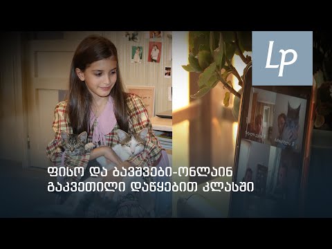 ონლაინ გაკვეთილი ზუგდიდის სკოლაში