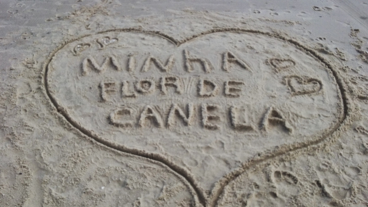 Youtube Erika Canela nudes (28 foto and video), Ass, Leaked, Selfie, cameltoe 2015 Youtube Erika Canela nudes (15 photos), Ass, Paparazzi, Twitter, legs 2020