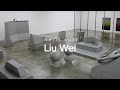 Conversations philip tinari and liu wei on nudit  white cube