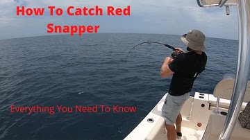 How To Catch Red Snapper: The Start To Finish Guide! Be Prepared For Snapper Season +Fishing Spots