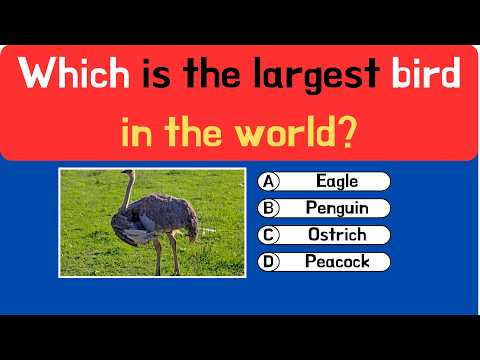 Can You Score 10/10? 🧠 General Knowledge Quiz Challenge 🎯 Test Your Knowledge!