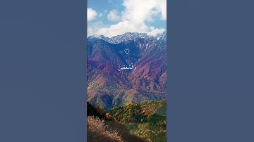 تلاوة عطرة للقارئ الشيخ ماهر المعيقلي