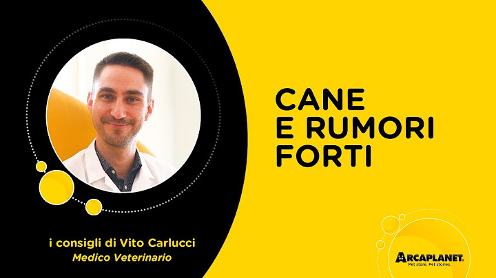 Come tranquillizzare un cane pauroso dai rumori? | I consigli del veterinario | Arcaplanet