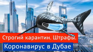 КАРАНТИН В ДУБАЕ: Штрафы за нарушение карантина. Разрешения на выход.