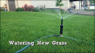 How To Water New Grass Seed - Above Ground Sprinkler - Fall Lawn Renovation and Overseeding Step 5
