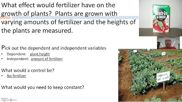 1.3 Experimental Design Examples