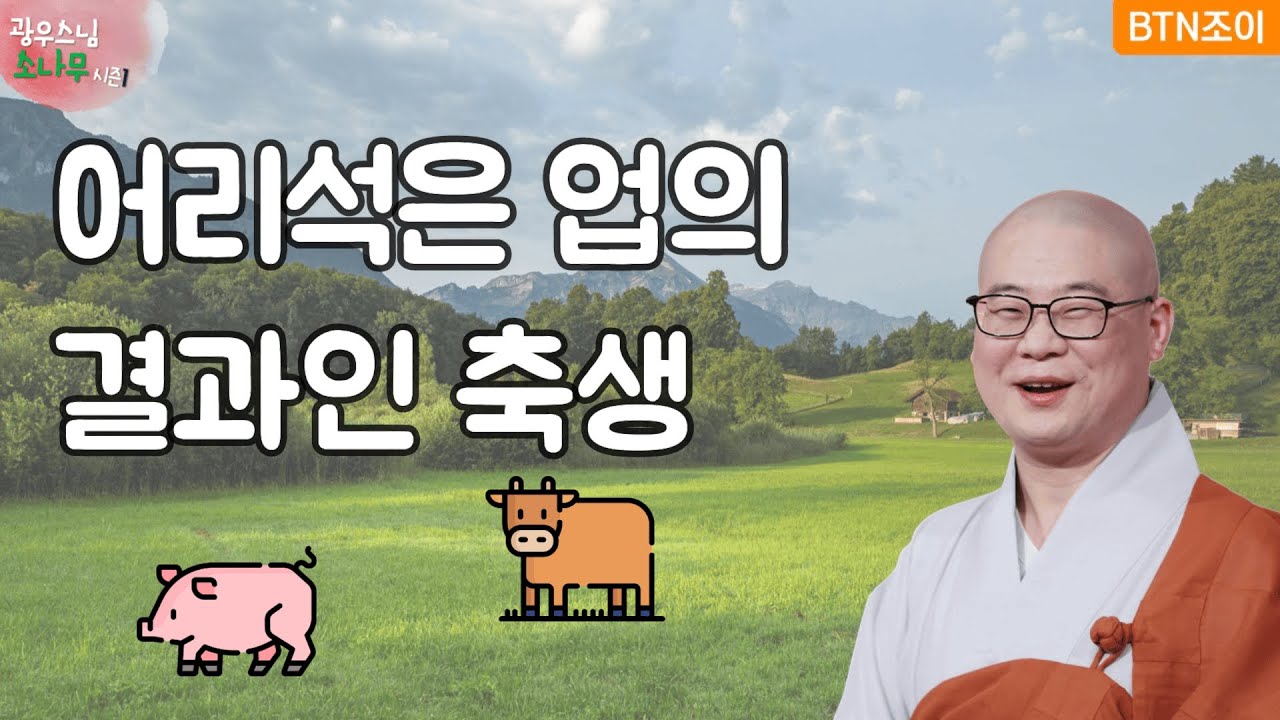 50회 어리석은 업의 결과, 축생 ㅣ광우스님의 소나무 시즌1