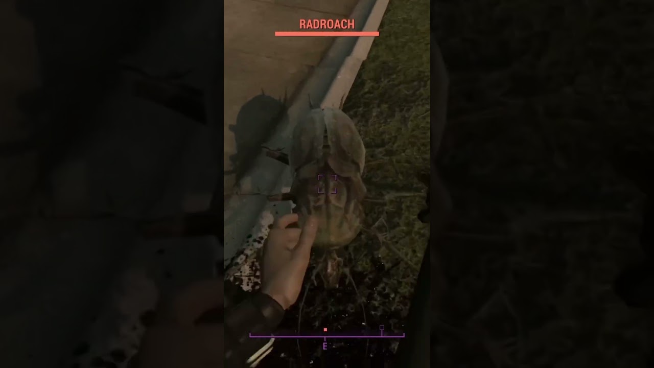 POV when your out of roach poison 