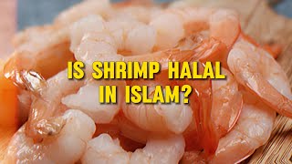 Is Shrimp Halal in Islam? The Definitive Answer